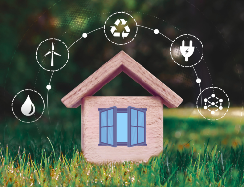 Do New Windows Really Save You Money? Low-E and Energy Efficiency Explained