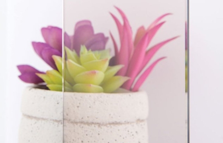 Bronze Glass Sample Sample image of bronze colored glass in front of succulent plant and vase.