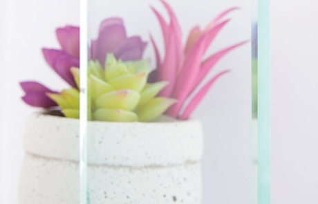 Clear Glass Sample Sample image of clear glass in front of succulent plant and vase.
