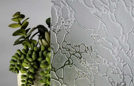 Delta Frost Glass Sample Sample image of delta frost textured glass in front of succulent plant and vase.