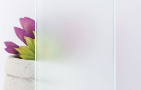 Frosted Glass Sample Sample image of frosted/acid-etch glass in front of succulent plant and vase.
