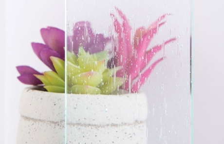 Seedy Glass Sample Sample image of seedy textured glass in front of succulent plant and vase.