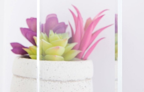 Starphire Glass Sample Sample image of starphire, low iron clear glass in front of succulent plant and vase.